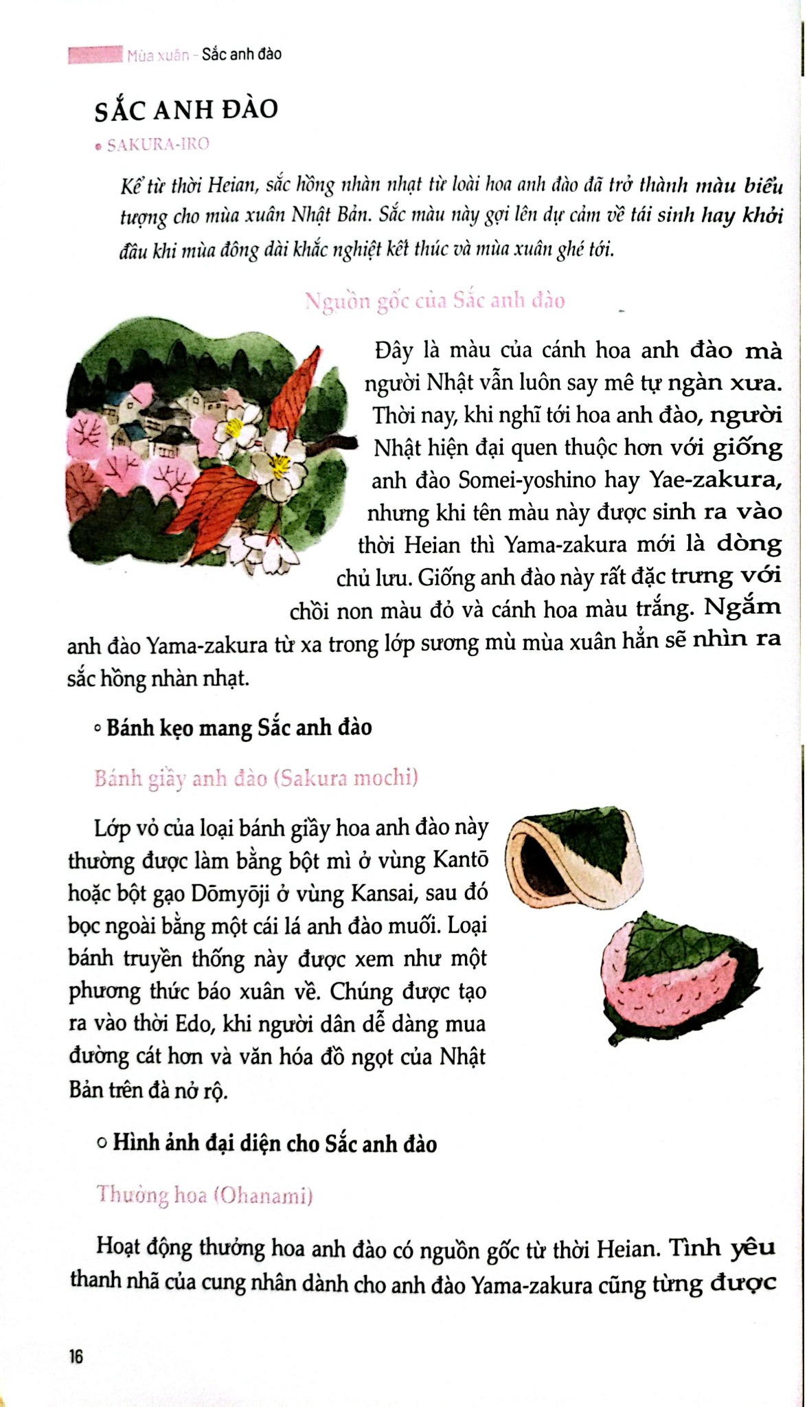 Sắc Màu Nhật Bản - Bốn Mùa Thiên Nhiên Và Sáng Tạo Qua Các Thời Đại - Yoko Nagasawa, Tomoko Everson