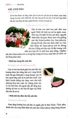 Sắc Màu Nhật Bản - Bốn Mùa Thiên Nhiên Và Sáng Tạo Qua Các Thời Đại - Yoko Nagasawa, Tomoko Everson