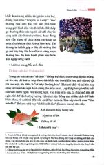 Sắc Màu Nhật Bản - Bốn Mùa Thiên Nhiên Và Sáng Tạo Qua Các Thời Đại - Yoko Nagasawa, Tomoko Everson