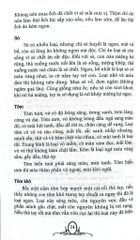 Công Việc Gia Đình - Những Điều Nên Biết - Trường Tân