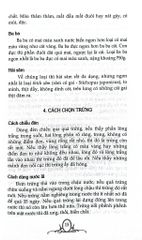 Công Việc Gia Đình - Những Điều Nên Biết - Trường Tân