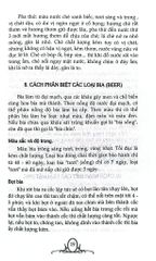 Công Việc Gia Đình - Những Điều Nên Biết - Trường Tân