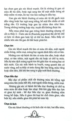  Công Việc Gia Đình - Những Điều Nên Biết - Trường Tân 