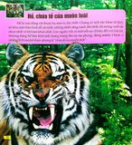  Combo 4 Cuốn Câu Lạc Bộ Khoa Học Edison ( Biển Cả + Rừng Rậm + Sa Mạc + Vũ Trụ ) 