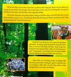  Combo 4 Cuốn Câu Lạc Bộ Khoa Học Edison ( Biển Cả + Rừng Rậm + Sa Mạc + Vũ Trụ ) 