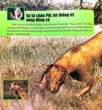  Combo 4 Cuốn Câu Lạc Bộ Khoa Học Edison ( Biển Cả + Rừng Rậm + Sa Mạc + Vũ Trụ ) 