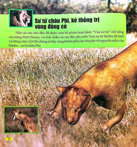  Combo 4 Cuốn Câu Lạc Bộ Khoa Học Edison ( Biển Cả + Rừng Rậm + Sa Mạc + Vũ Trụ ) 