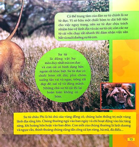  Combo 4 Cuốn Câu Lạc Bộ Khoa Học Edison ( Biển Cả + Rừng Rậm + Sa Mạc + Vũ Trụ ) 