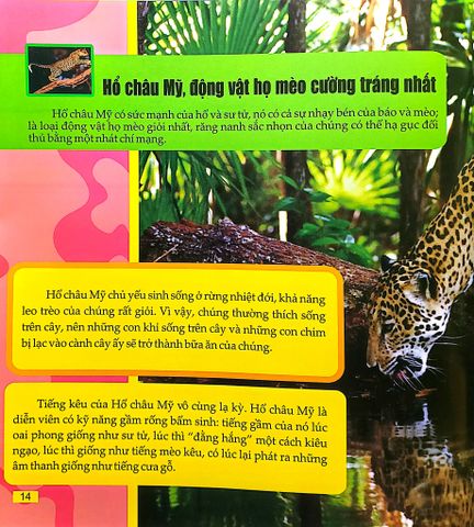  Combo 4 Cuốn Câu Lạc Bộ Khoa Học Edison ( Biển Cả + Rừng Rậm + Sa Mạc + Vũ Trụ ) 