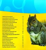  Combo 4 Cuốn Câu Lạc Bộ Khoa Học Edison ( Biển Cả + Rừng Rậm + Sa Mạc + Vũ Trụ ) 