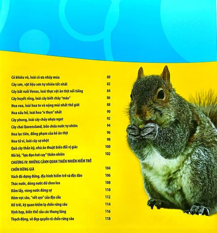  Combo 4 Cuốn Câu Lạc Bộ Khoa Học Edison ( Biển Cả + Rừng Rậm + Sa Mạc + Vũ Trụ ) 