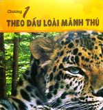  Combo 4 Cuốn Câu Lạc Bộ Khoa Học Edison ( Biển Cả + Rừng Rậm + Sa Mạc + Vũ Trụ ) 