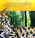  Combo 4 Cuốn Câu Lạc Bộ Khoa Học Edison ( Biển Cả + Rừng Rậm + Sa Mạc + Vũ Trụ ) 