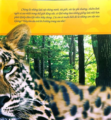  Combo 4 Cuốn Câu Lạc Bộ Khoa Học Edison ( Biển Cả + Rừng Rậm + Sa Mạc + Vũ Trụ ) 