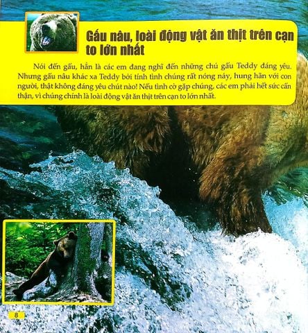  Combo 4 Cuốn Câu Lạc Bộ Khoa Học Edison ( Biển Cả + Rừng Rậm + Sa Mạc + Vũ Trụ ) 