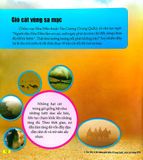  Combo 4 Cuốn Câu Lạc Bộ Khoa Học Edison ( Biển Cả + Rừng Rậm + Sa Mạc + Vũ Trụ ) 