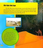  Combo 4 Cuốn Câu Lạc Bộ Khoa Học Edison ( Biển Cả + Rừng Rậm + Sa Mạc + Vũ Trụ ) 