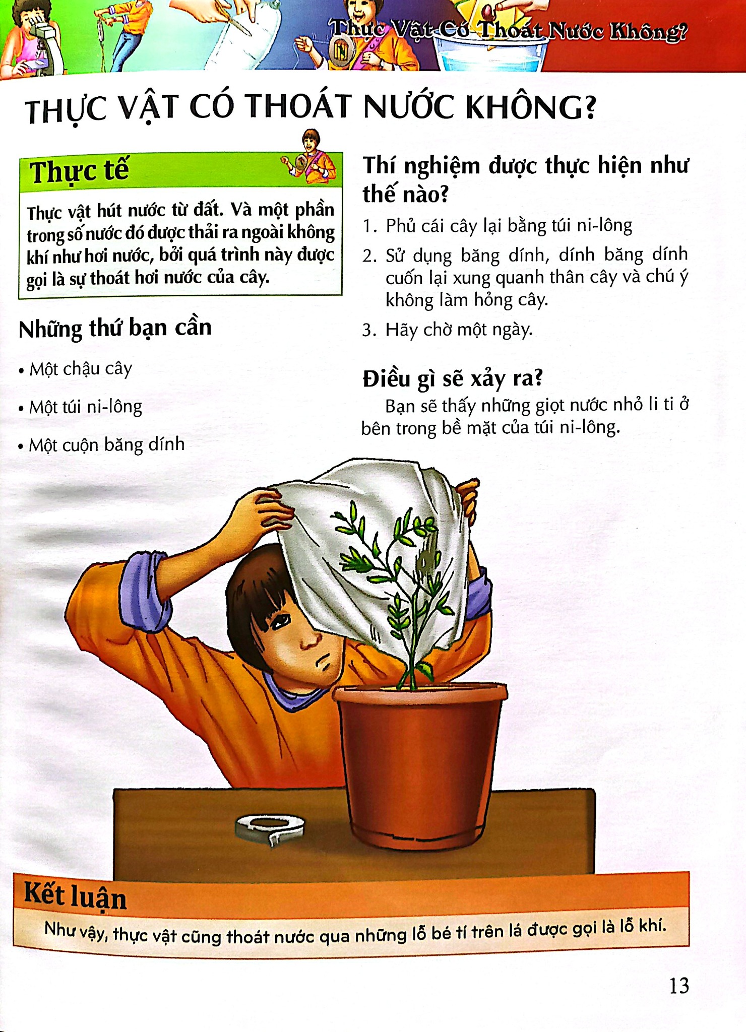 Bách Khoa Tri Thức - Sinh Học - Tapasi De