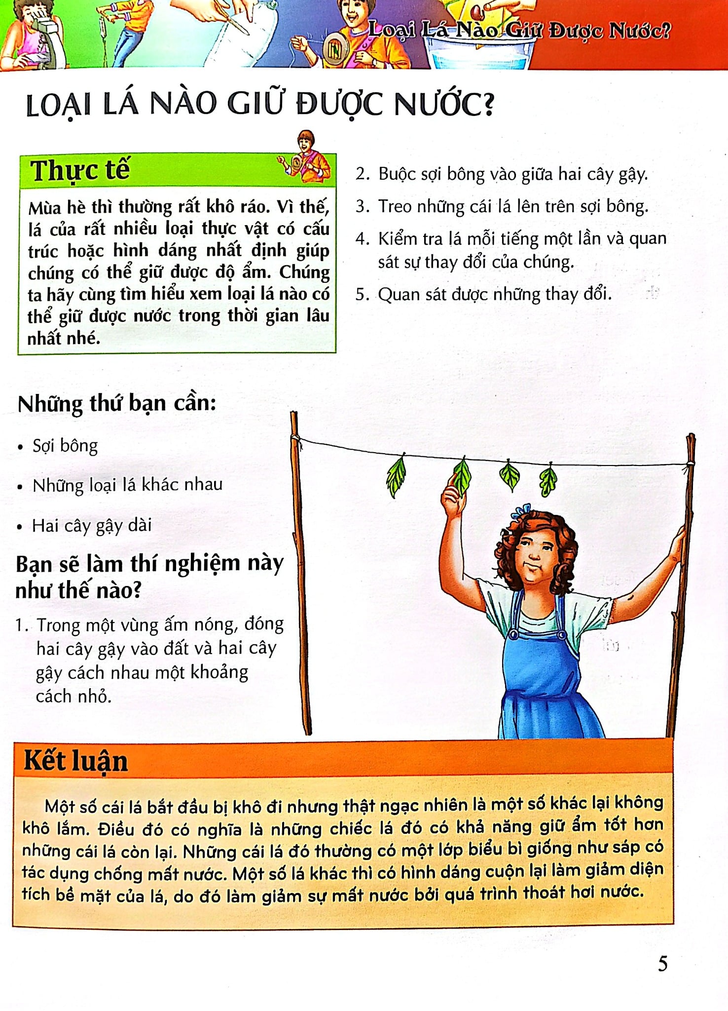 Combo 5 Cuốn Bách Khoa Tri Thức ( Hóa học + Khoa học + Sinh Học + Vật Lý + Thiên Nhiên )