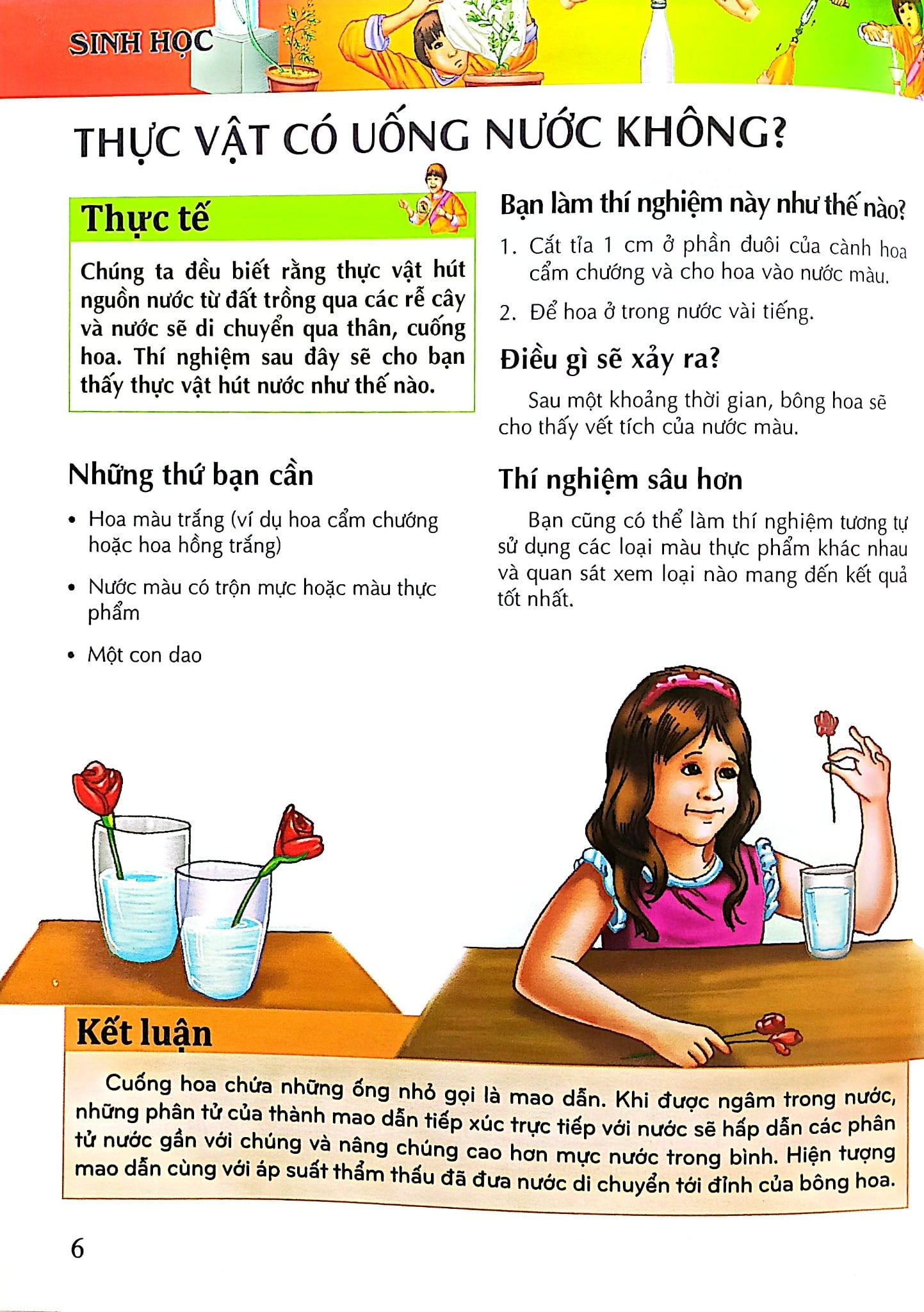 Combo 5 Cuốn Bách Khoa Tri Thức ( Hóa học + Khoa học + Sinh Học + Vật Lý + Thiên Nhiên )