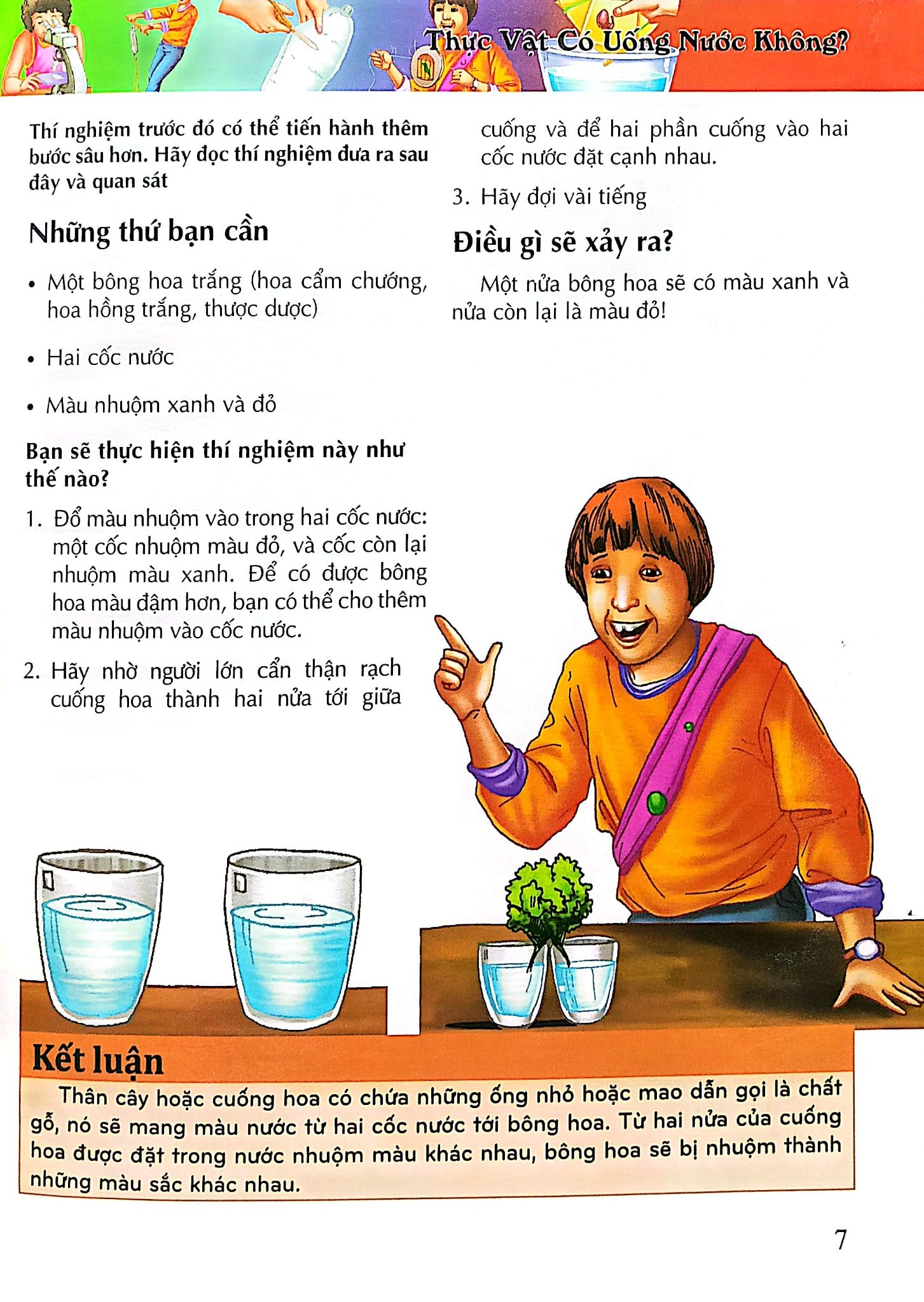 Combo 5 Cuốn Bách Khoa Tri Thức ( Hóa học + Khoa học + Sinh Học + Vật Lý + Thiên Nhiên )
