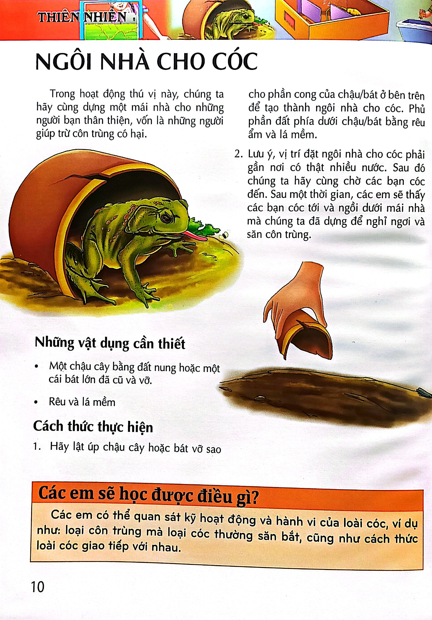 Bách Khoa Tri Thức - Thiên Nhiên - Tapasi De