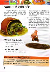 Bách Khoa Tri Thức - Thiên Nhiên - Tapasi De