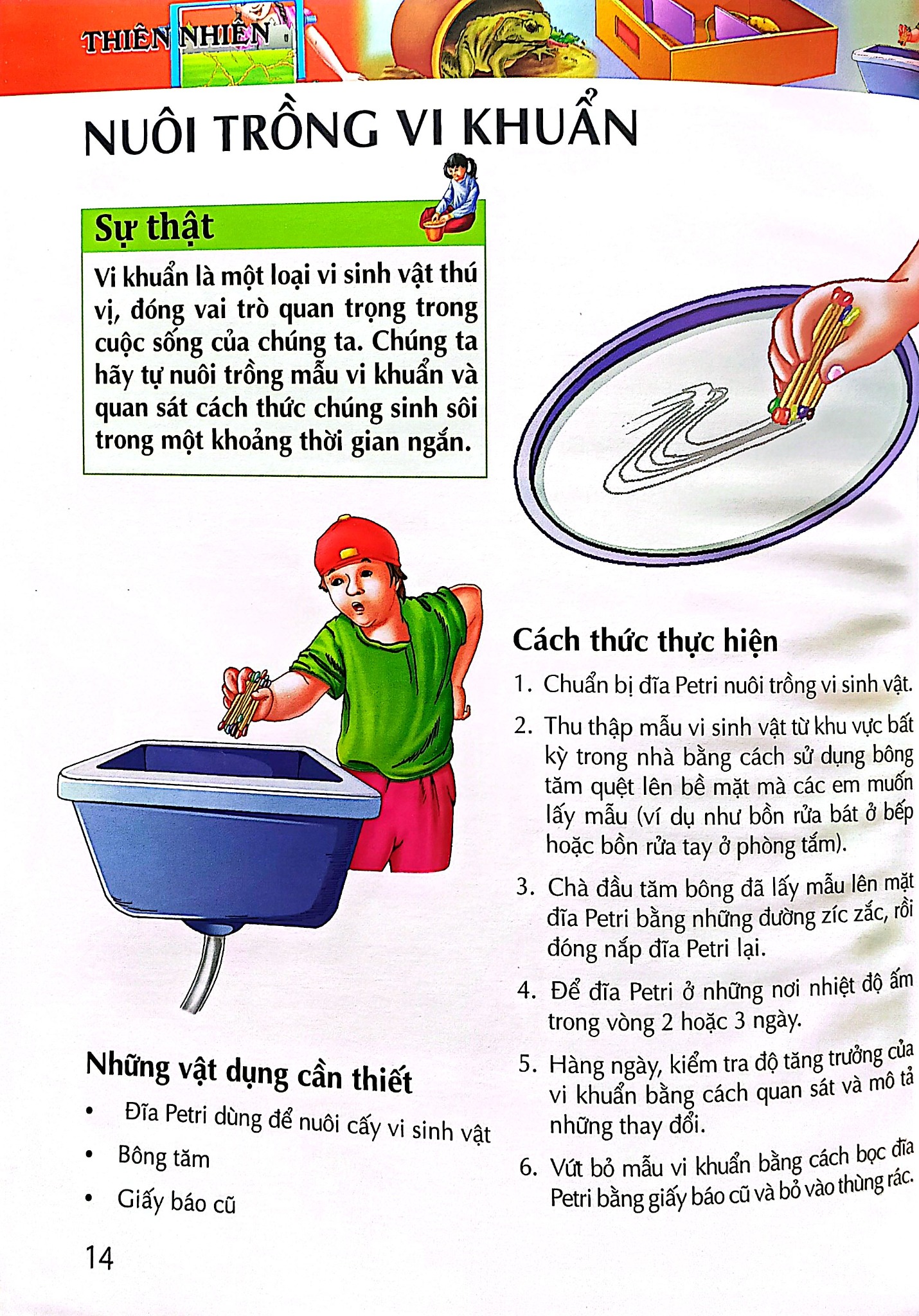 Bách Khoa Tri Thức - Thiên Nhiên - Tapasi De