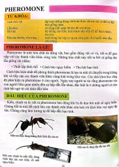 Cơ Thể Của Tôi Hoạt Động Như Thế Nào Hooc - Môn - T.R.Bhanot