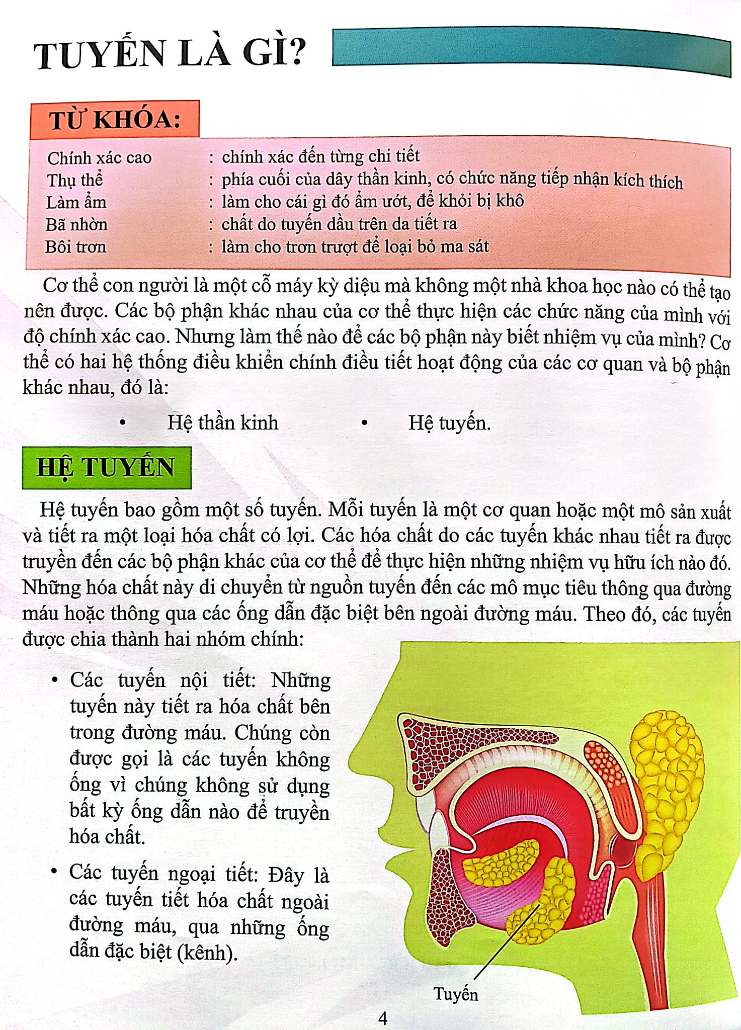 Combo 16 Cuốn Cơ Thể Của Tôi Hoạt Động Như Thế Nào ?