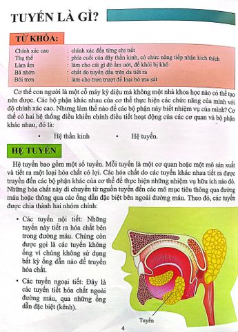  Combo 16 Cuốn Cơ Thể Của Tôi Hoạt Động Như Thế Nào ? 