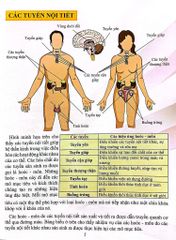 Combo 16 Cuốn Cơ Thể Của Tôi Hoạt Động Như Thế Nào ?