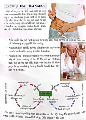  Combo 16 Cuốn Cơ Thể Của Tôi Hoạt Động Như Thế Nào ? 