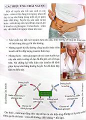 Combo 16 Cuốn Cơ Thể Của Tôi Hoạt Động Như Thế Nào ?
