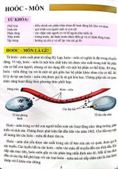Combo 16 Cuốn Cơ Thể Của Tôi Hoạt Động Như Thế Nào ?