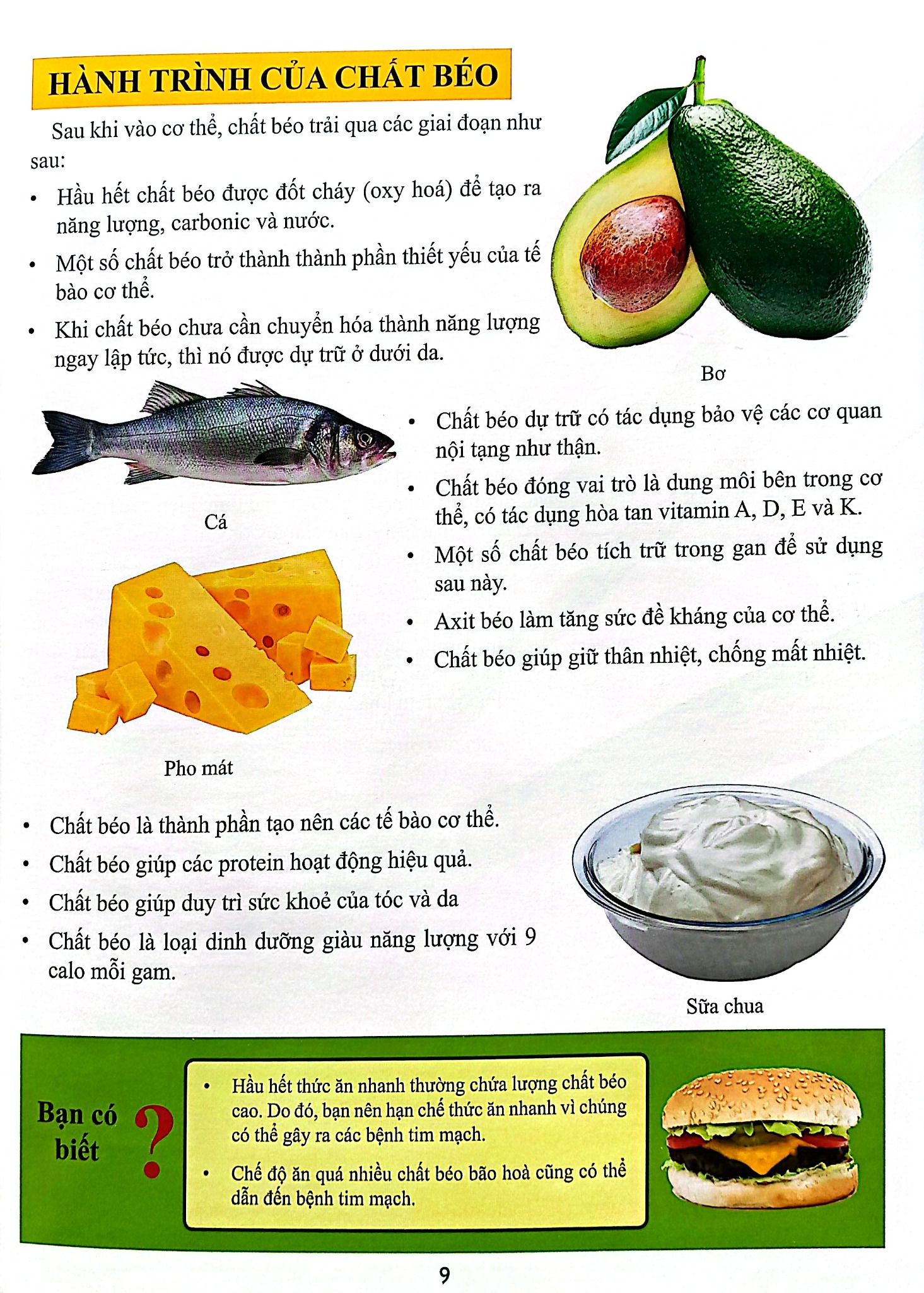 Cơ Thể Của Tôi Hoạt Động Như Thế Nào - Ăn Uống Khoa Học - T.R.Bhanot