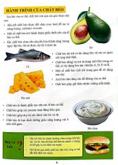 Cơ Thể Của Tôi Hoạt Động Như Thế Nào - Ăn Uống Khoa Học - T.R.Bhanot
