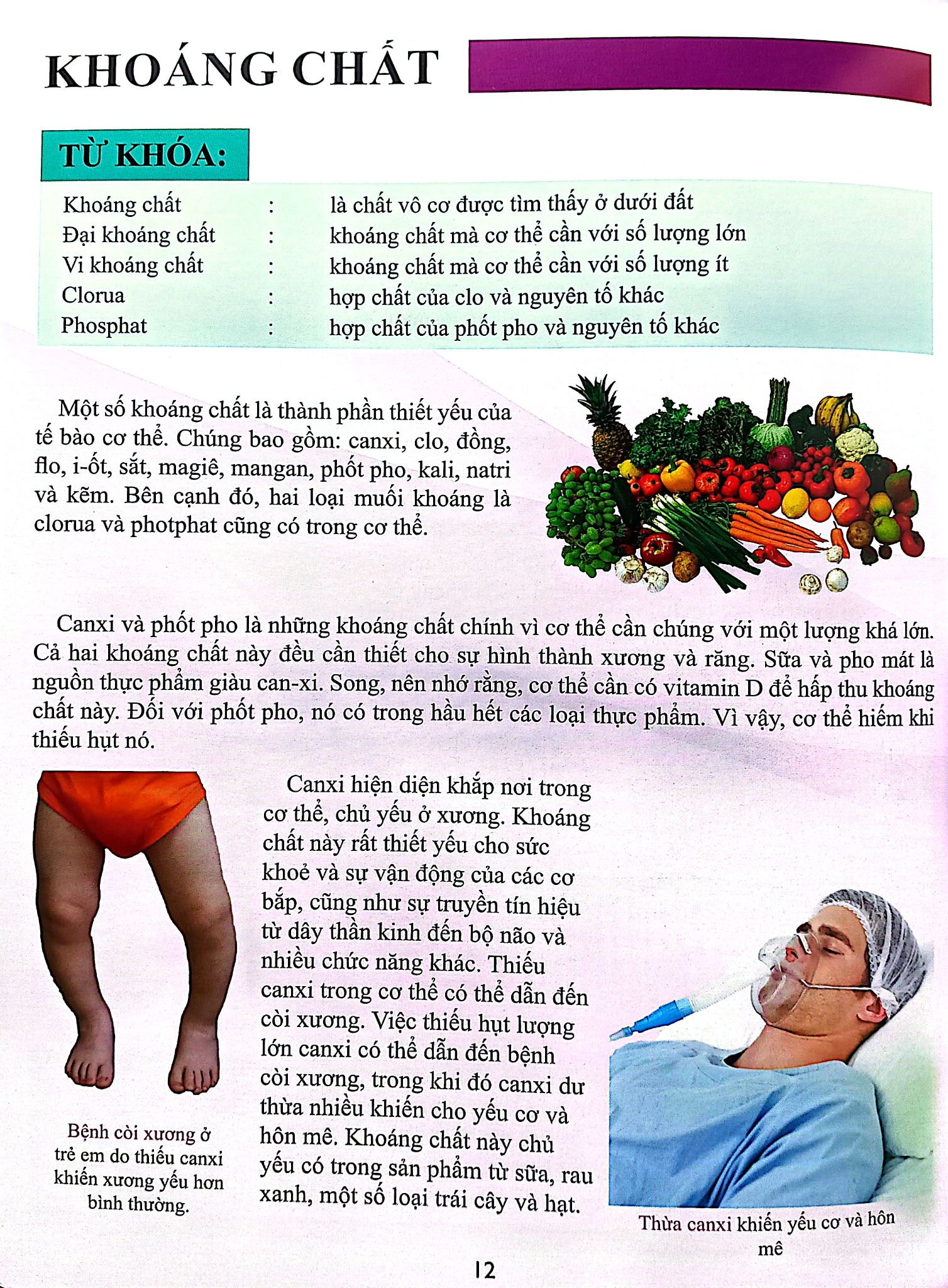 Cơ Thể Của Tôi Hoạt Động Như Thế Nào - Ăn Uống Khoa Học - T.R.Bhanot