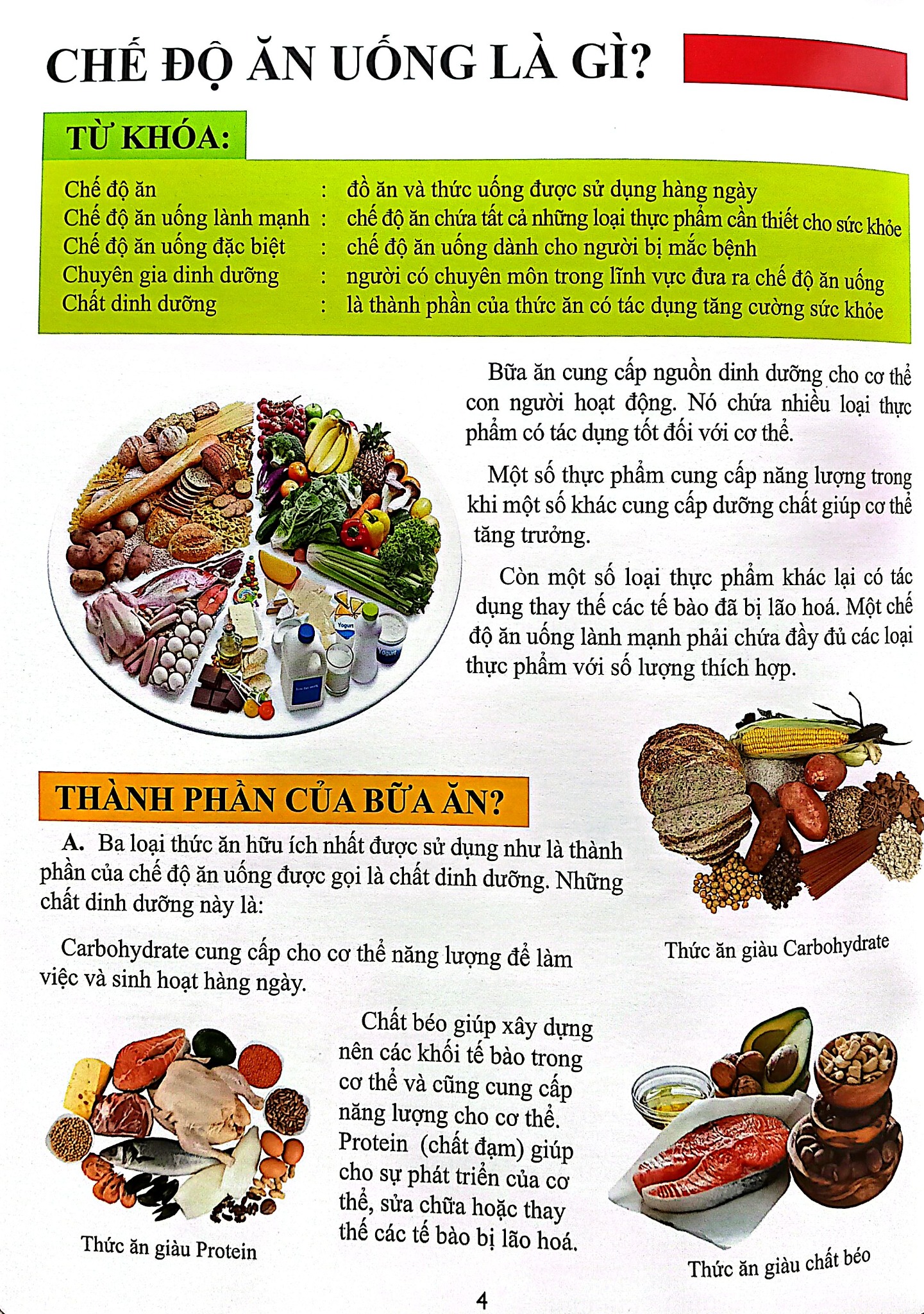 Cơ Thể Của Tôi Hoạt Động Như Thế Nào - Ăn Uống Khoa Học - T.R.Bhanot
