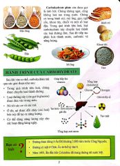 Cơ Thể Của Tôi Hoạt Động Như Thế Nào - Ăn Uống Khoa Học - T.R.Bhanot