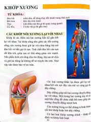 Cơ Thể Của Tôi Hoạt Động Như Thế Nào Xương - T.R.Bhanot