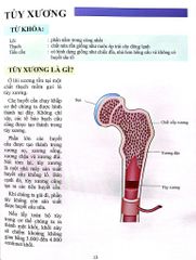 Cơ Thể Của Tôi Hoạt Động Như Thế Nào Xương - T.R.Bhanot