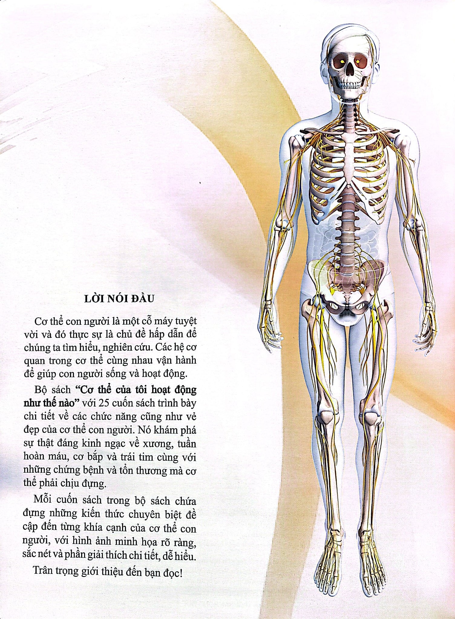 Cơ Thể Của Tôi Hoạt Động Như Thế Nào Xương - T.R.Bhanot