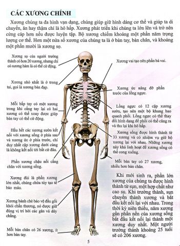  Combo 16 Cuốn Cơ Thể Của Tôi Hoạt Động Như Thế Nào ? 
