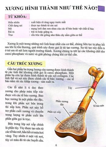 Combo 16 Cuốn Cơ Thể Của Tôi Hoạt Động Như Thế Nào ? 
