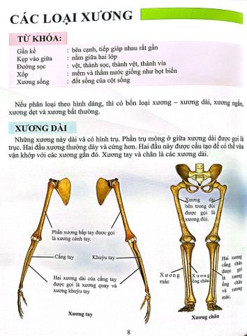  Combo 16 Cuốn Cơ Thể Của Tôi Hoạt Động Như Thế Nào ? 
