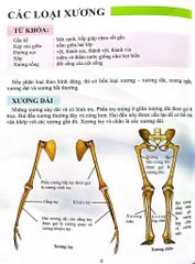Combo 16 Cuốn Cơ Thể Của Tôi Hoạt Động Như Thế Nào ?