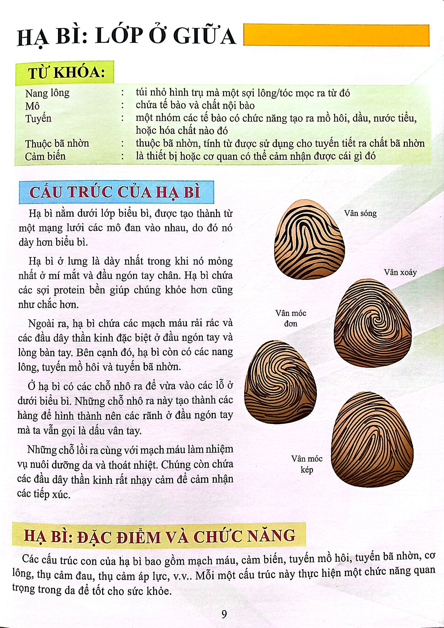 Cơ Thể Của Tôi Hoạt Động Như Thế Nào - Da - T.R.Bhanot