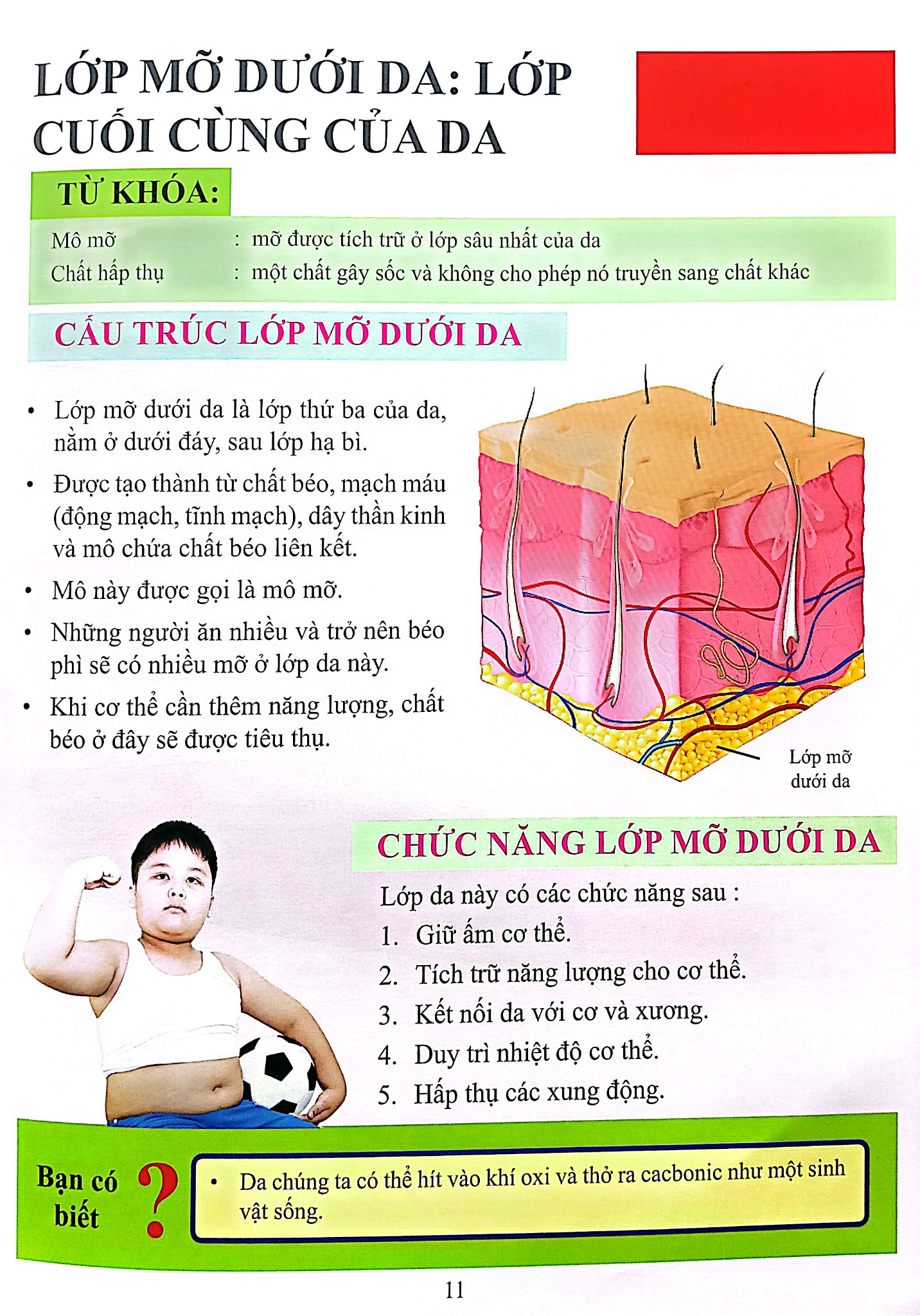 Cơ Thể Của Tôi Hoạt Động Như Thế Nào - Da - T.R.Bhanot