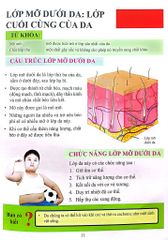 Cơ Thể Của Tôi Hoạt Động Như Thế Nào - Da - T.R.Bhanot